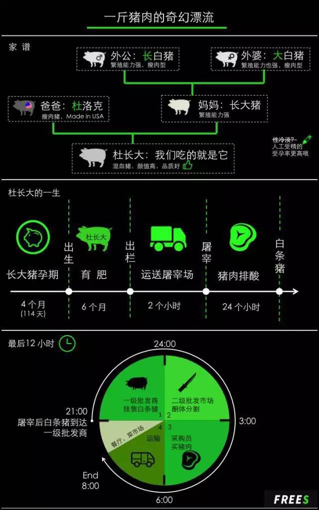 猪的养殖过程